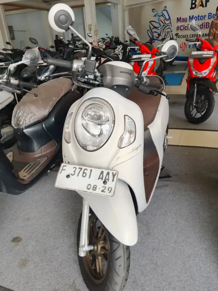 scoopy keyles mulus dp 800