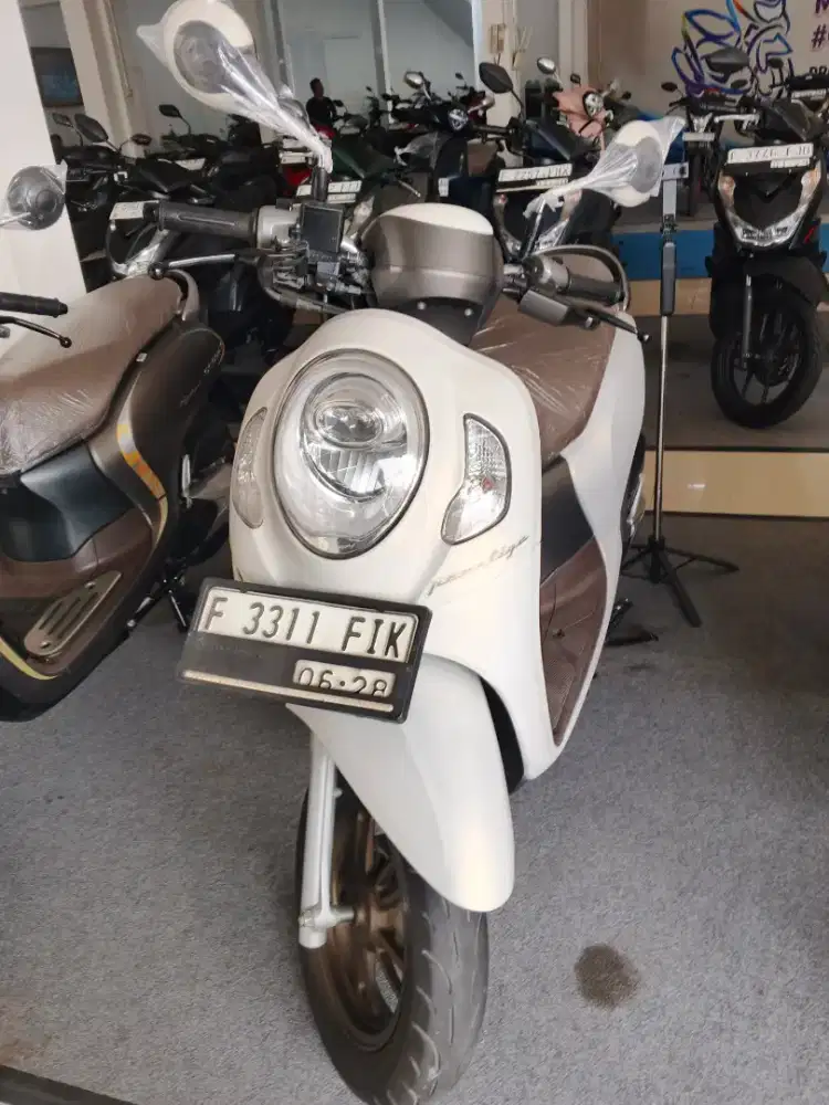 scoopy keyles mulus dp 800