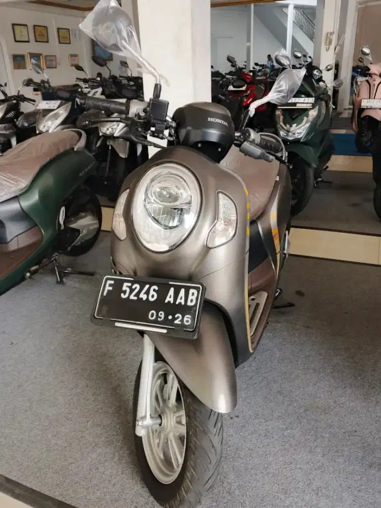 scoopy keyles mulus dp 600