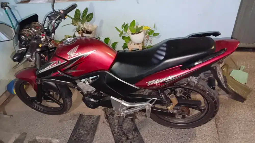 Tiger Revo 2013
