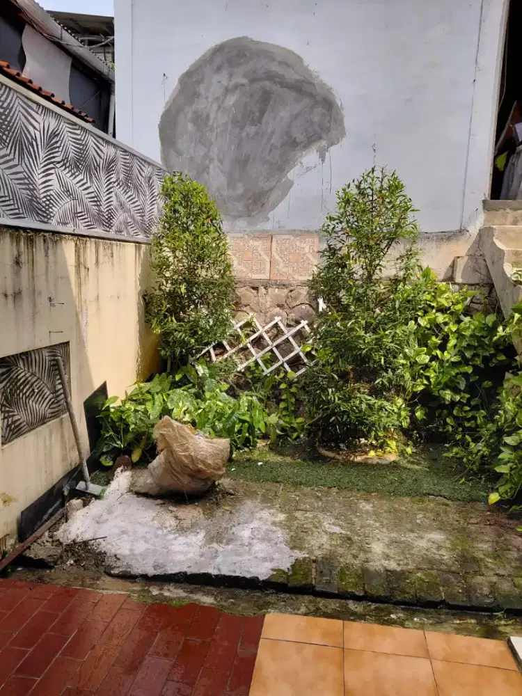 Rumah murah kebon jeruk