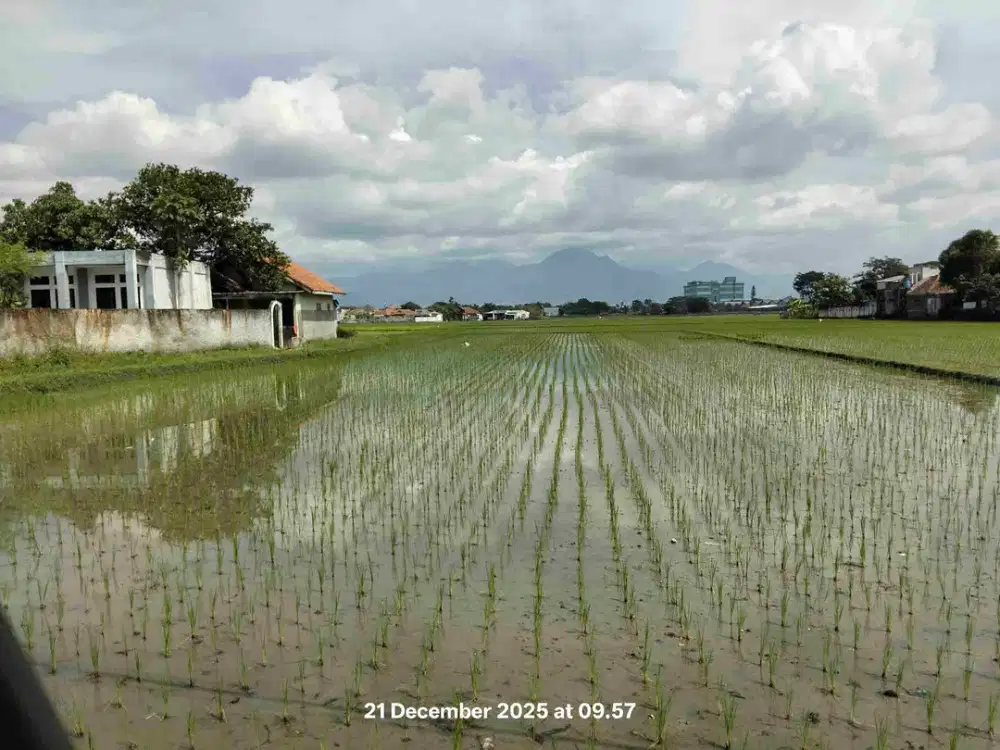 Tanah di Majalaya Solokan Jeruk