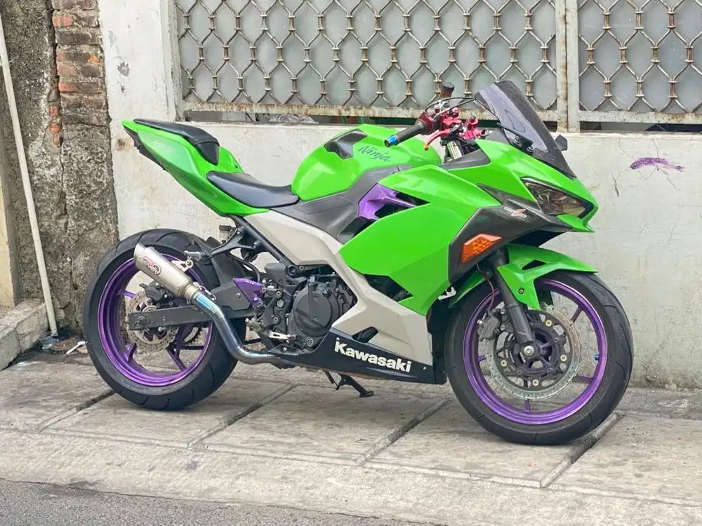 Kawasaki ninja 250 all new