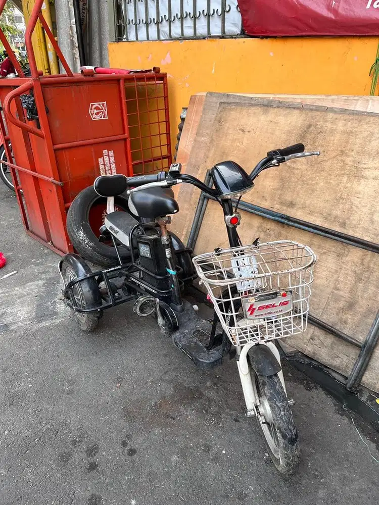 Selis BUTERRFLY Trike 3
