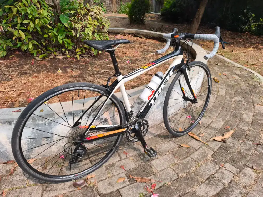 Roadbike Trek Domane 4.3 (full carbon UCI) Size 50