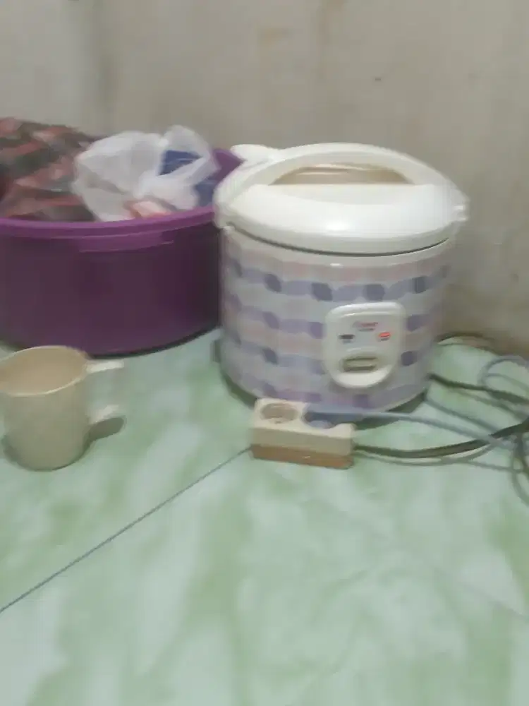 Kipas dan cosmos