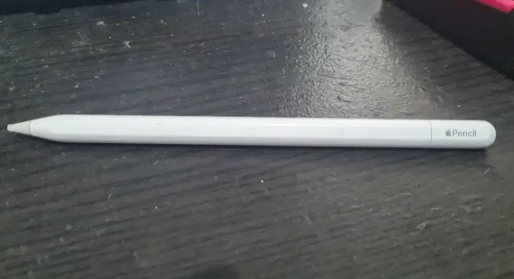 Apple Pen untuk Ipad