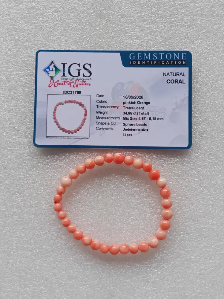 Gelang batu natural coral_ batu Marjan Mediterania. Gem id card IGS