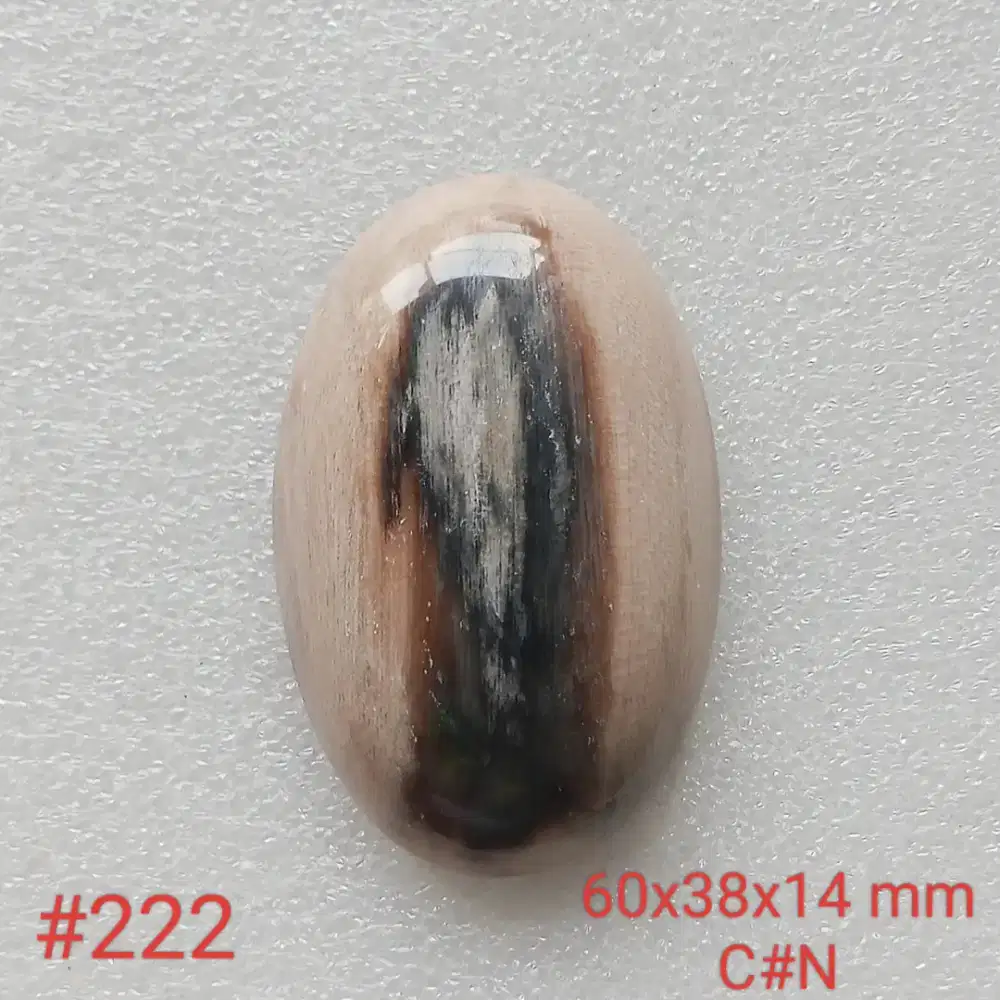 Batu natural fosilkayu kelor motif horor
