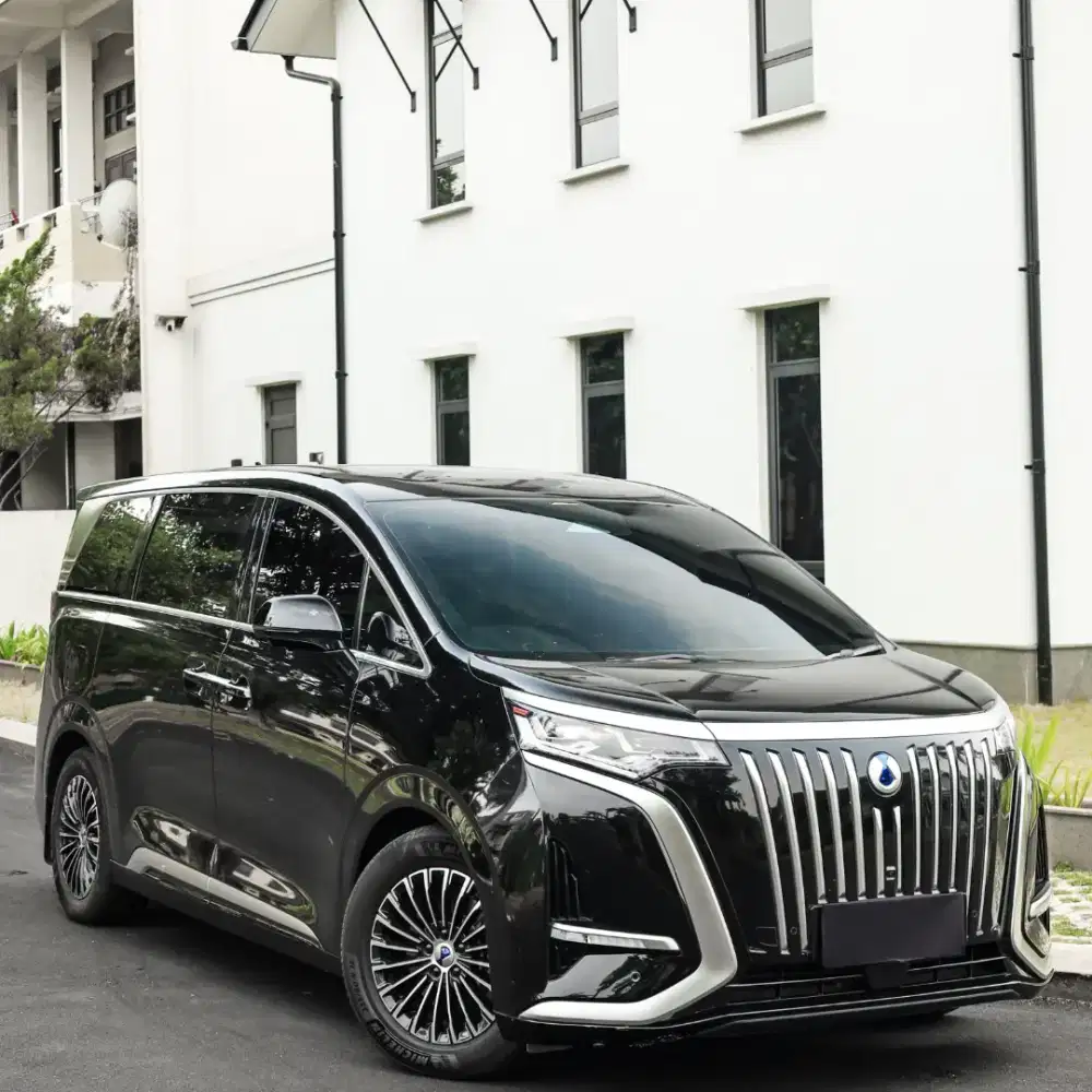 [Cash] BYD DENZA D9 EV