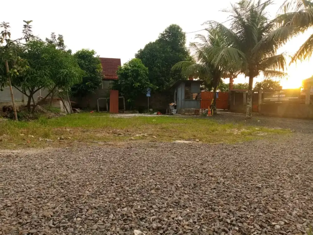 Tanah Kavling Dramaga Legalitas SHM Dekat IPB Cocok Bangun Kost Dan Hunian