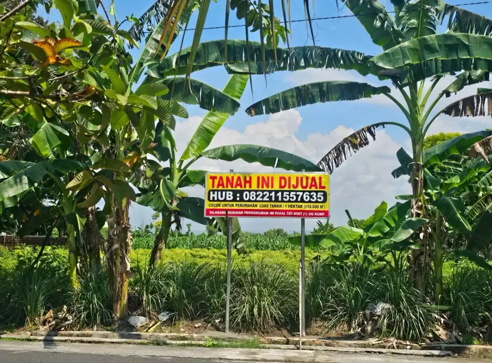 DIJUAL CEPAT BU !!