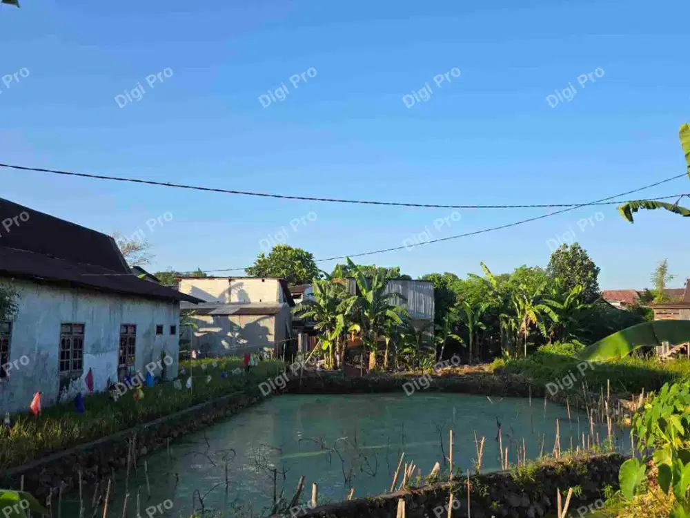 Dijual Tanah Luas 444m2. Jl. Inspekasi Kanal Borong Raya. SHM