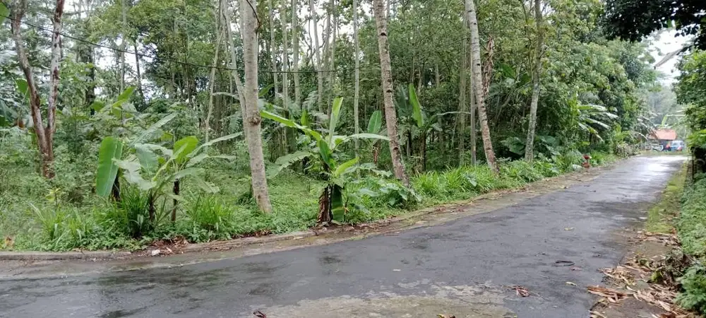 Dijual Tanah Pekarangan di Desa Kemiri, Kec. Tulung, Kabupaten Klaten