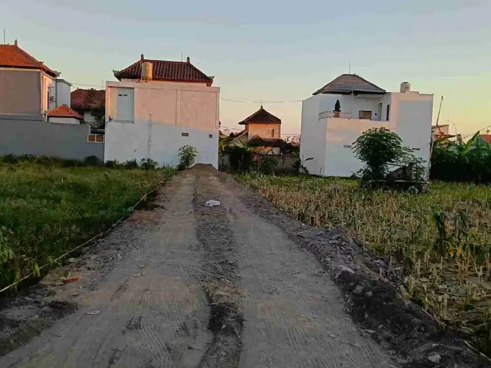 Di kontrakan tanah jalan sedap malam, Denpasar, Bali