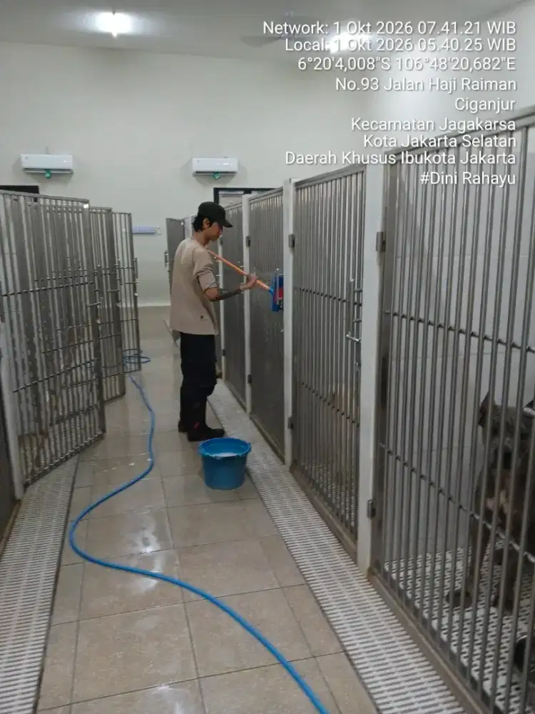 Dibutuhkan segera KENNEL BOY & CLEANING SERVICE