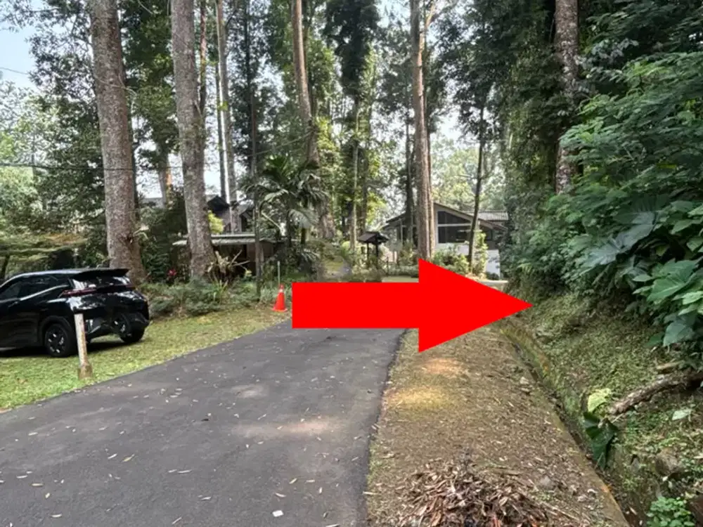 Di Jual Lelang Tanah 1560 M2 di Komplek Mega Indah Villa Estate - Jl. Mega Indah , Desa Megamendung, Kecamatan Megamendung, Kota Bogor,