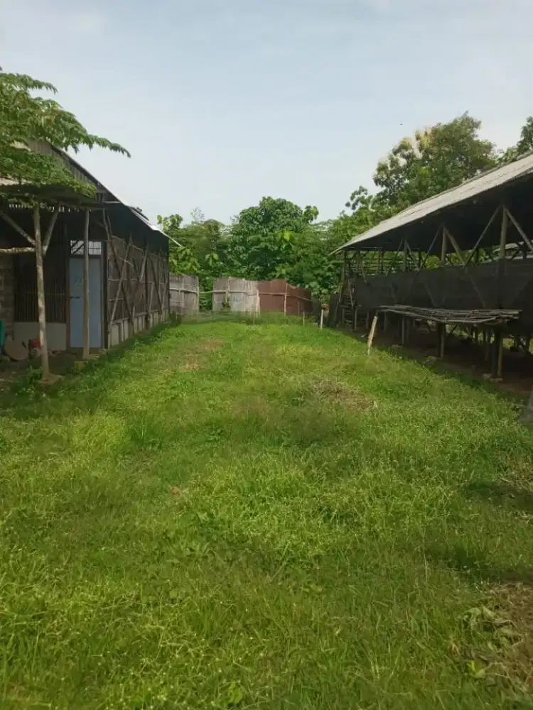 DIJUAL TANAH PRODUKTIF & SIAP PAKAI