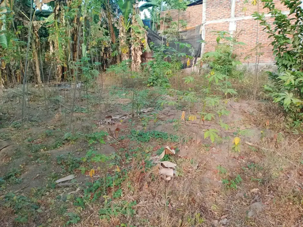 [DIJUAL CEPAT] TANAH SHM STRATEGIS DI SUMBERHARJO, PRAMBANAN