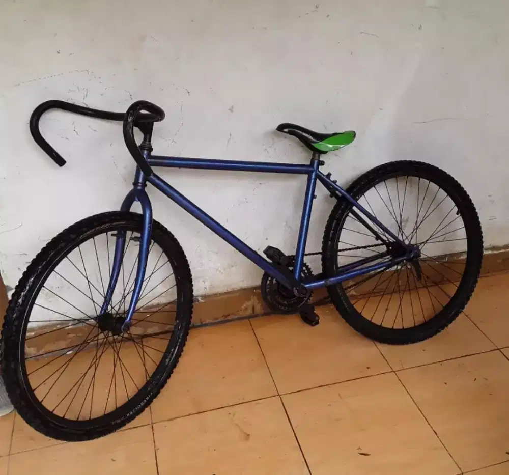 Sepede fixie bekas