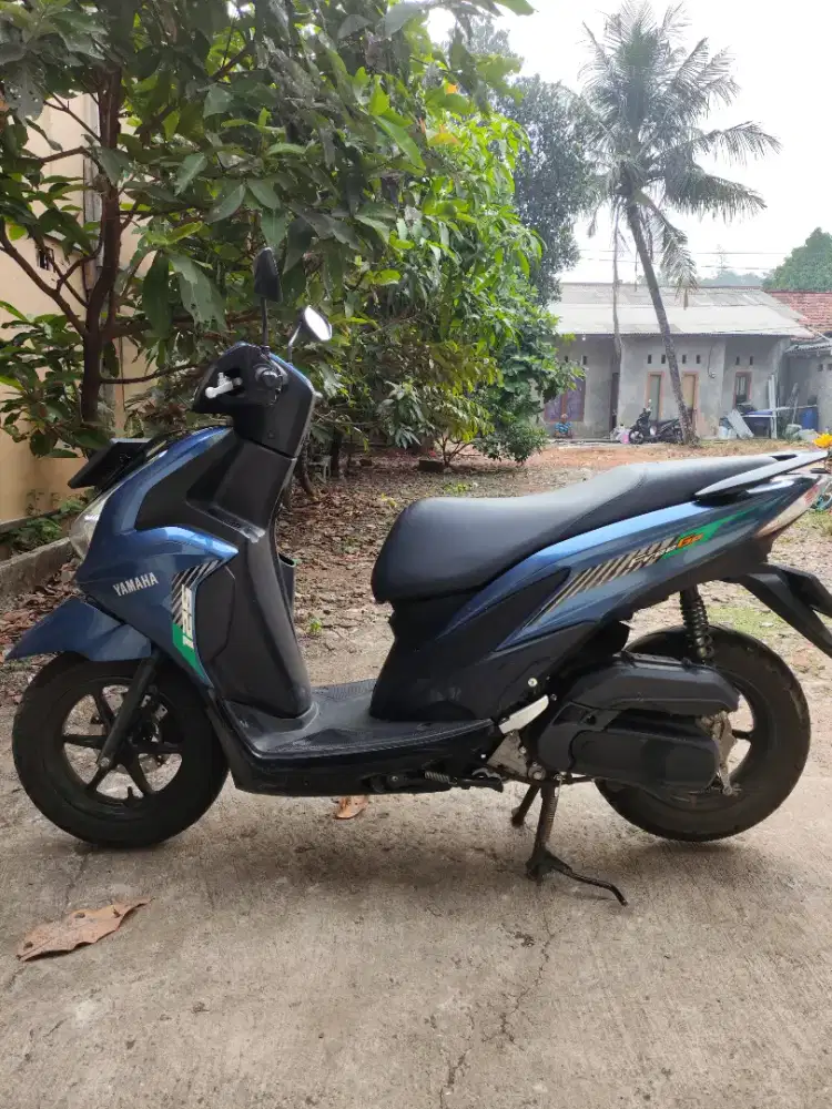 yamaha freego 2024