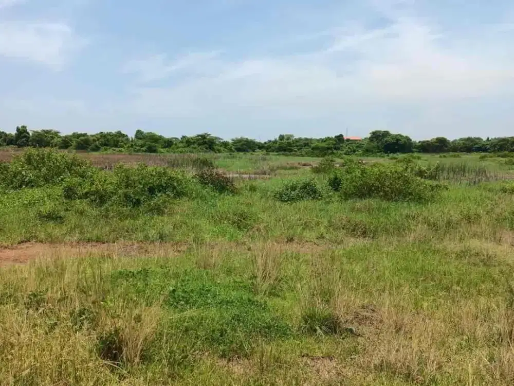 Bangil Pasuruan lt 8.2ha belakang ponoes Dalwa