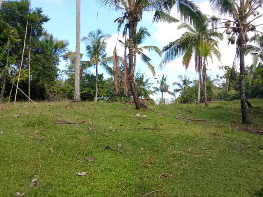 Dijual Lahan dengan View Natural Super Sejuk dan Siap Bangun