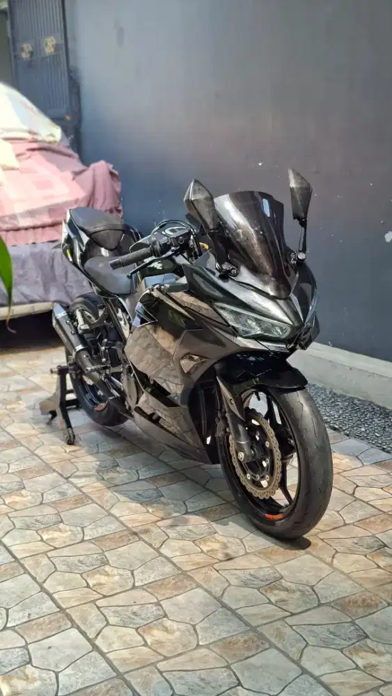 Kawasaki ninja 250 all new