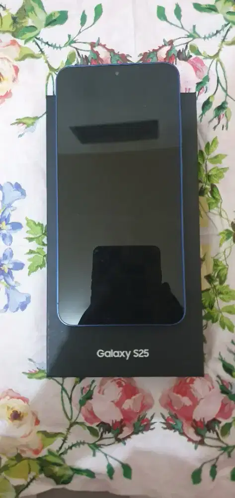samsung galaxy S25 RAM 12/256GB