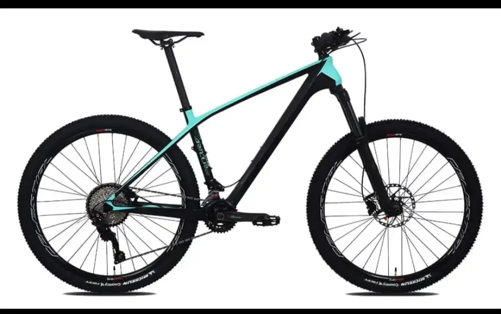 Sepeda Pasific Armour 600