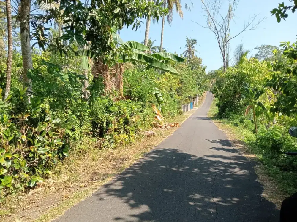 Jual Tanah Kebun Produktif Cocok untuk Bangun Villa/Pondok Wisata