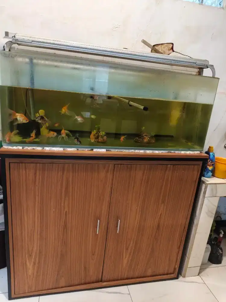 Aquarium lengkap