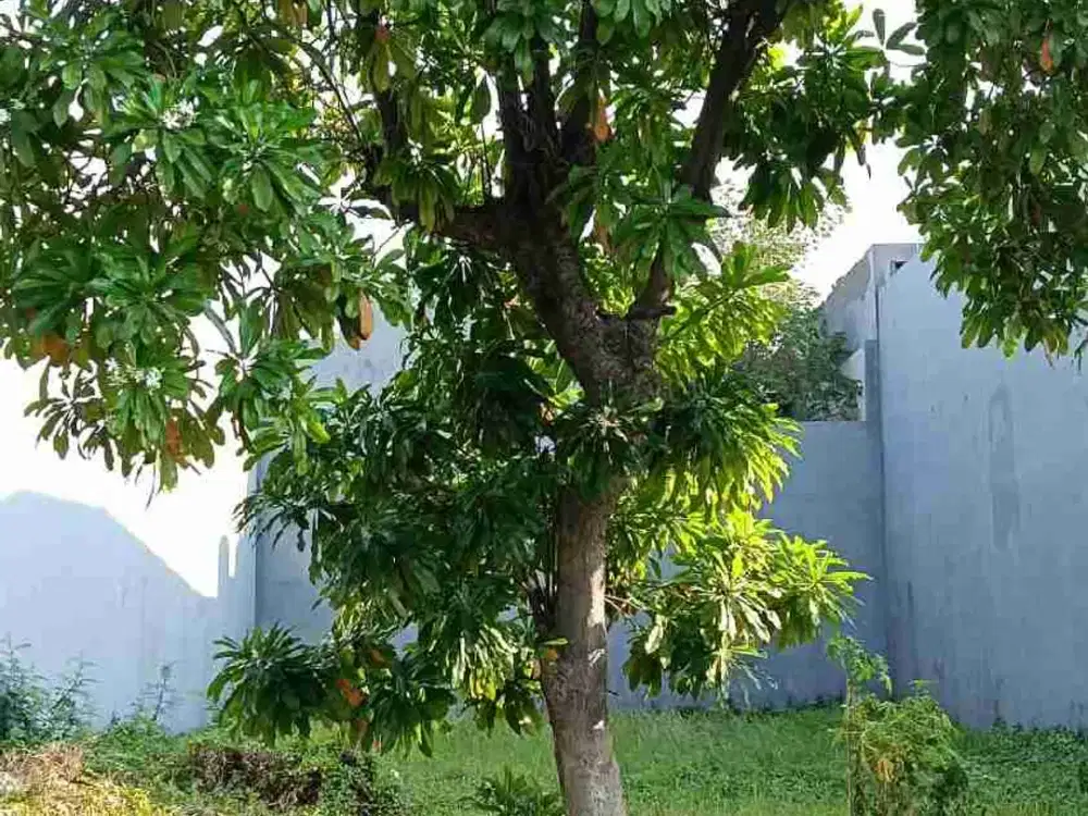 dijual cepat kavling di wisata bukit mas 2