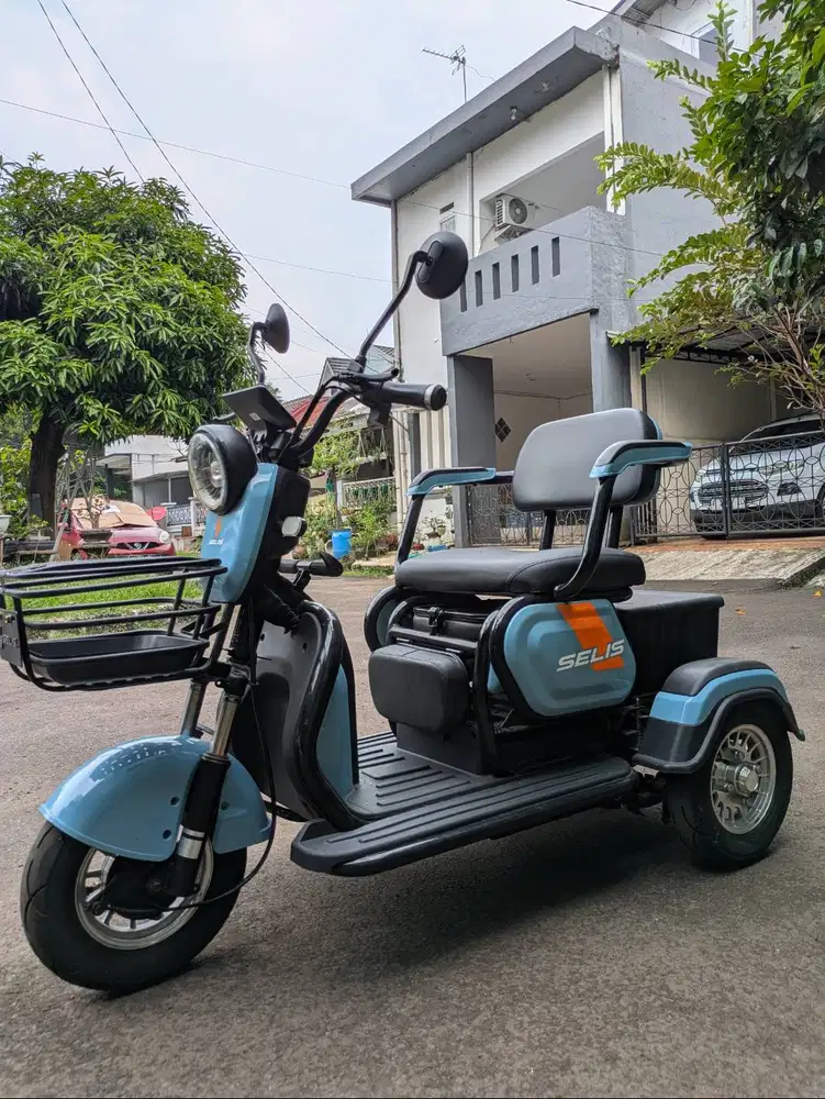 Sepeda Listrik Roda 3 Selis Borneo