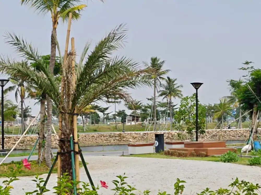 Dijual Kavling Diamond Pasir Putih PIK 2 Hadap Selatan