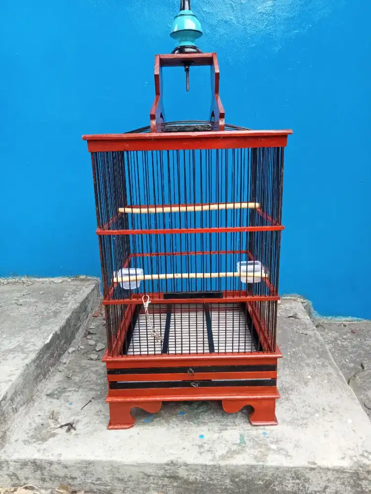 Sangkar burung ciblek konin