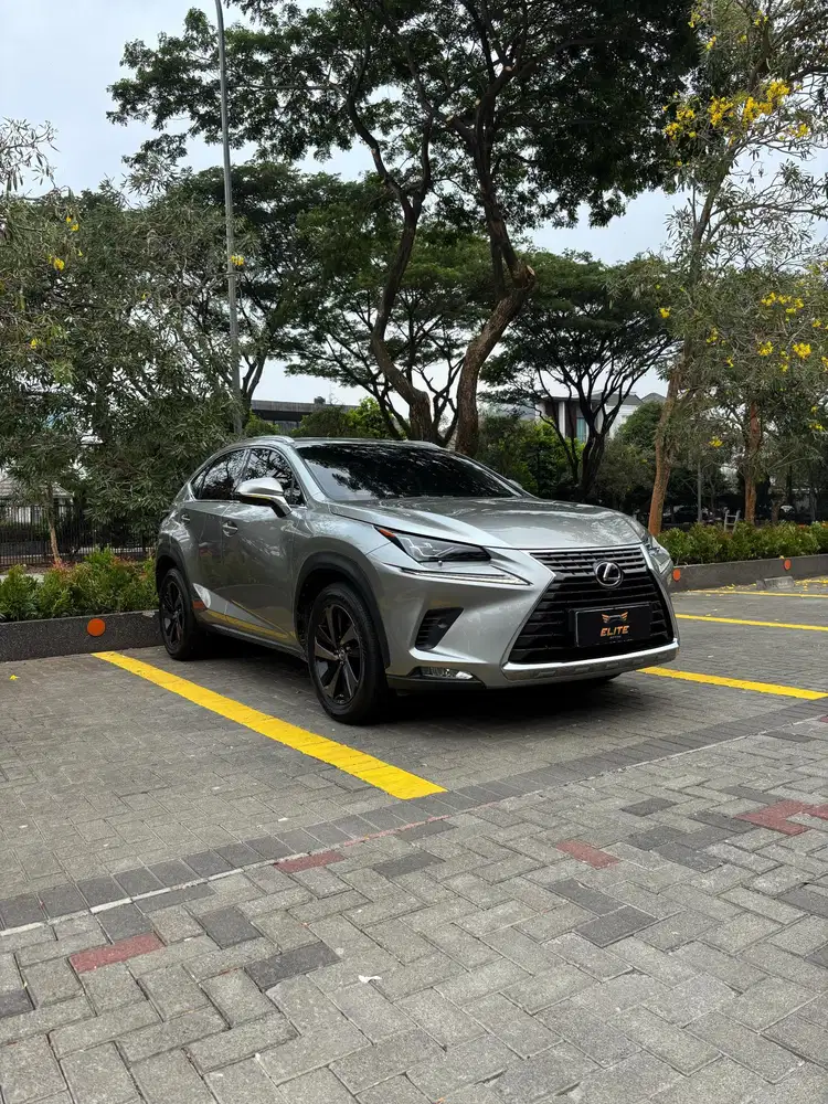 LEXUS NX300 AT 2019 LUXURY