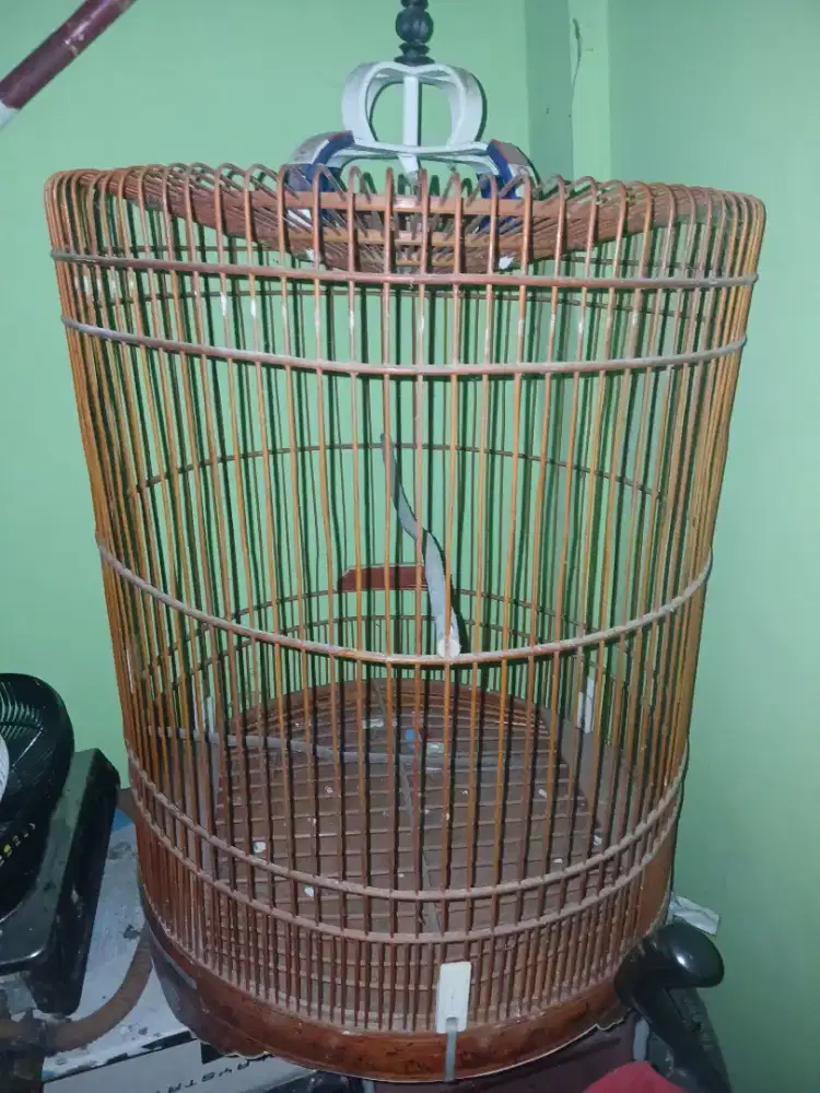 Kandang murah nomer satu