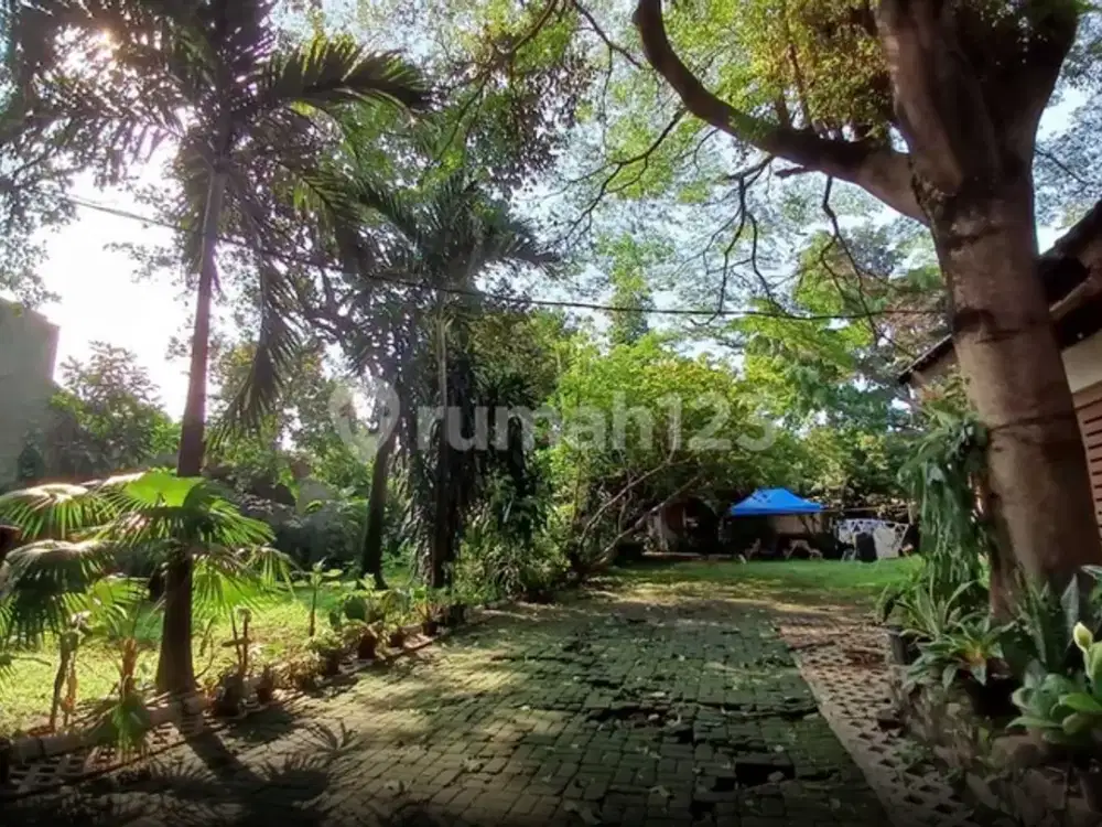 Dijual Murah Tanah Luas Bonus Rumah Kebun Asri Di Kawasan Bintaro Jaya-tangerang