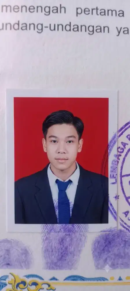 fresh graduate 2026