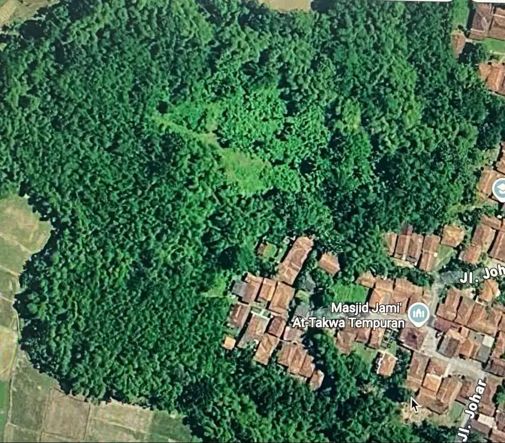 Tanah Kosong siap untuk kebun buka harga 35.000,-  nego