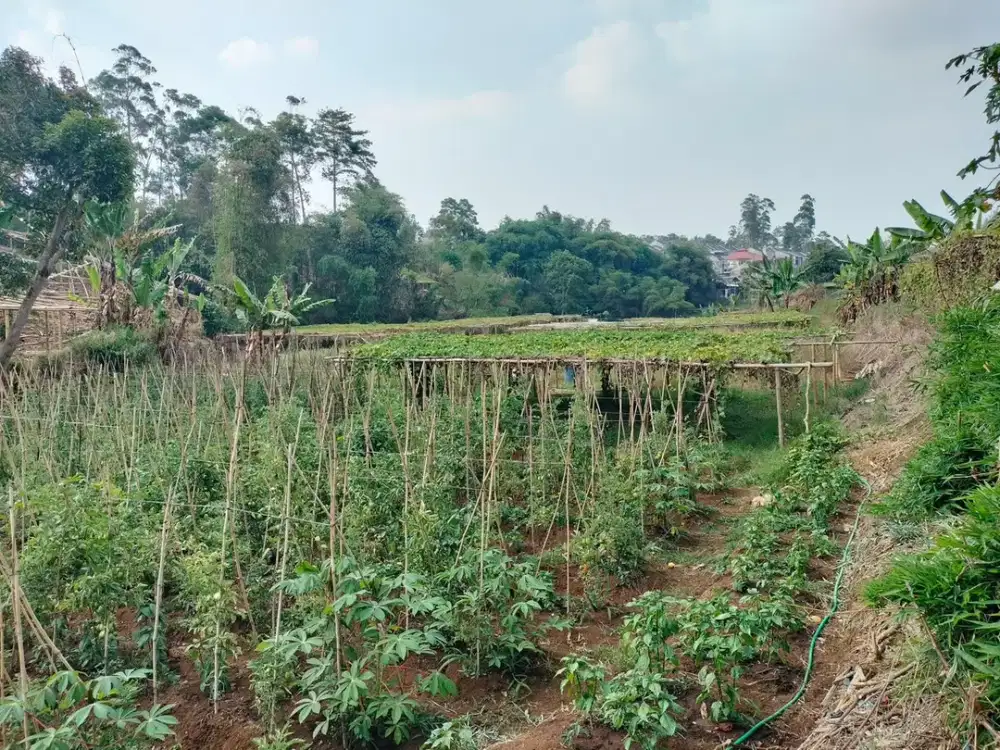 Jual tanah zona kuning ciwidey pasir jambu bandung