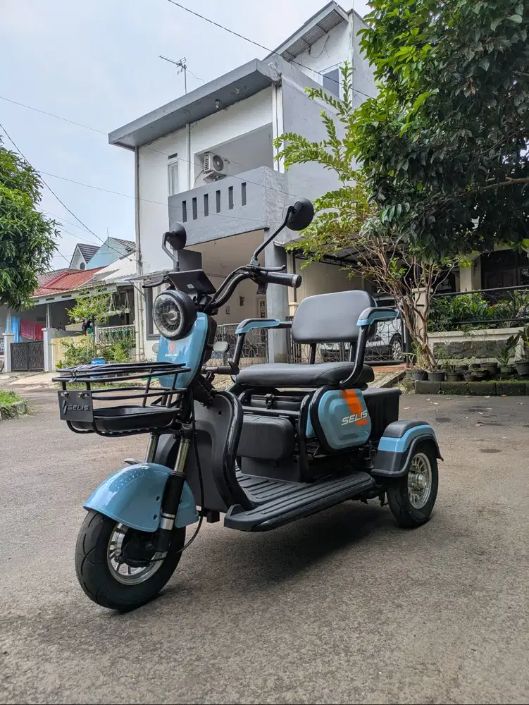 Sepeda Listrik Roda 3 Selis Borneo