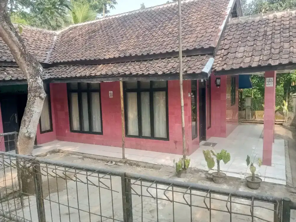 Rumah kampung 1 lantai asri