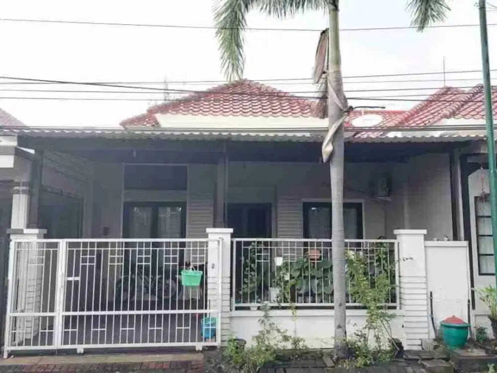 Rumah Murah Central Park Ahmad Yani Surabaya