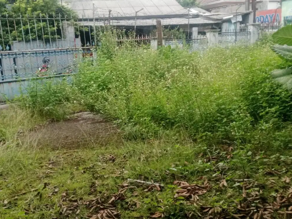 Tanah Murah Harga di Bawah Pasaran Cocok Usaha dan Cluster Lokasi di Cipayung Jakarta Timur