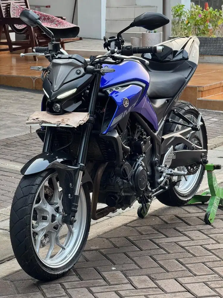 Yamaha MT-25 V2 Model Alien
