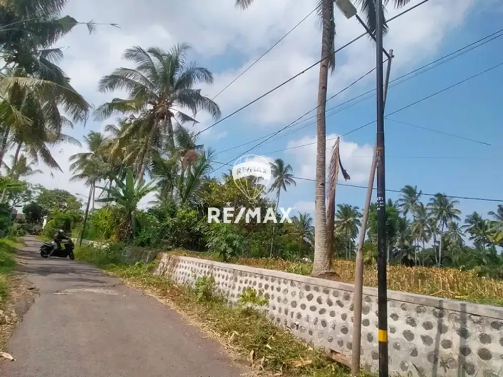 DIJUAL LAHAN KEBUN PRODUKTIF - KOPENBAYAH GIRI BANYUWANGI