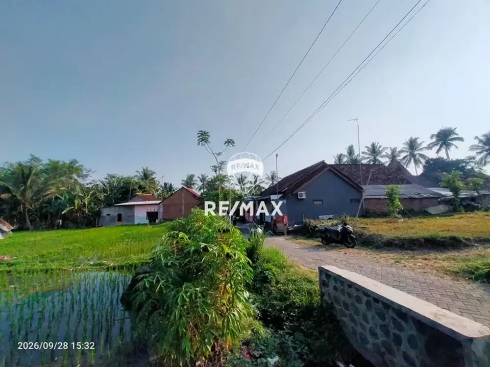 DIJUAL LAHAN SAWAH PRODUKTIF - KOPENBAYAH GIRI BANYUWANGI