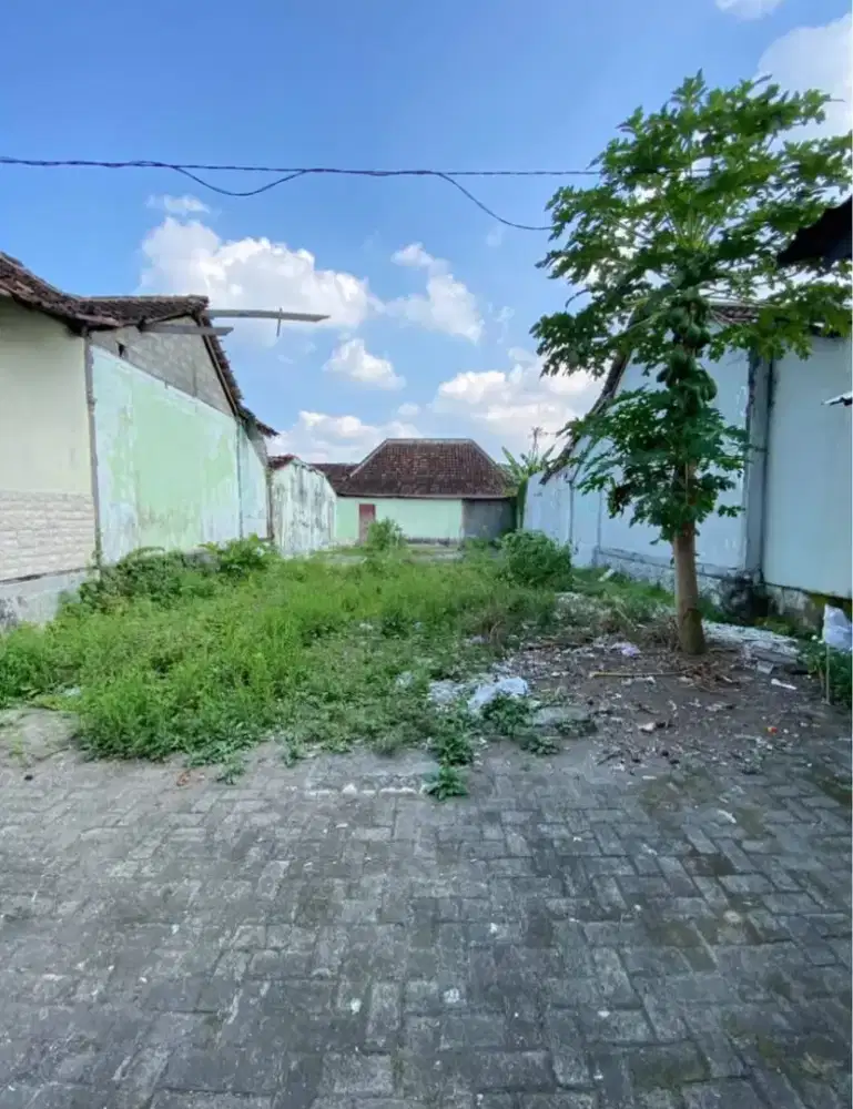 Tanah murah dekat pasar Colombo jalan Kaliurang KM 7 Sleman Yogya
